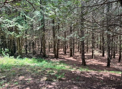 1161 Rosetta Road • Lanark, ON photo 6