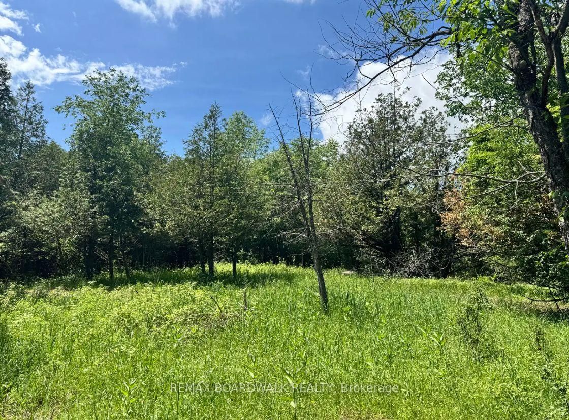 1151 Rosetta Road • Lanark, ON photo 1