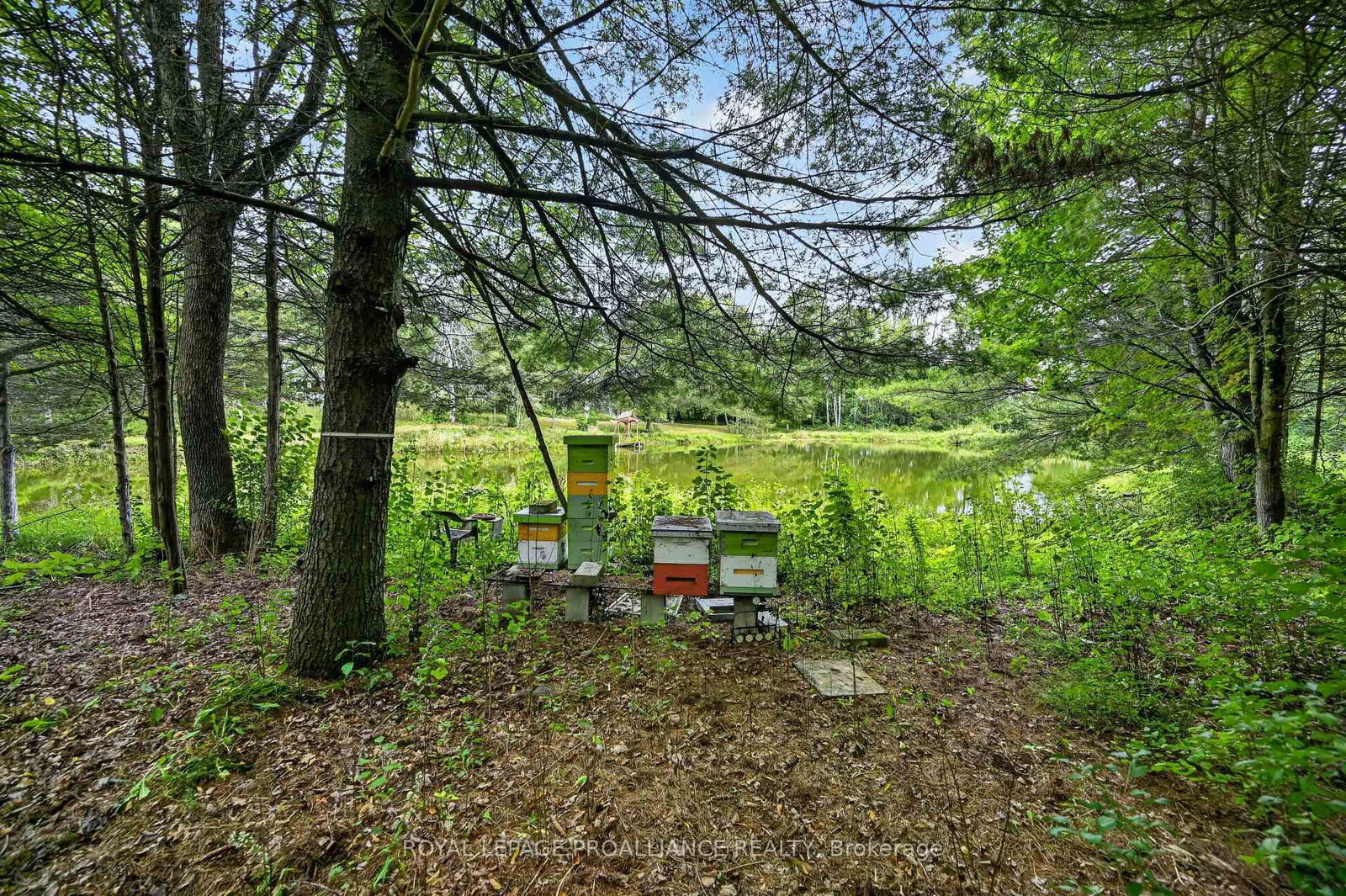 100 Coons Road • Rideau Lakes, ON photo 41