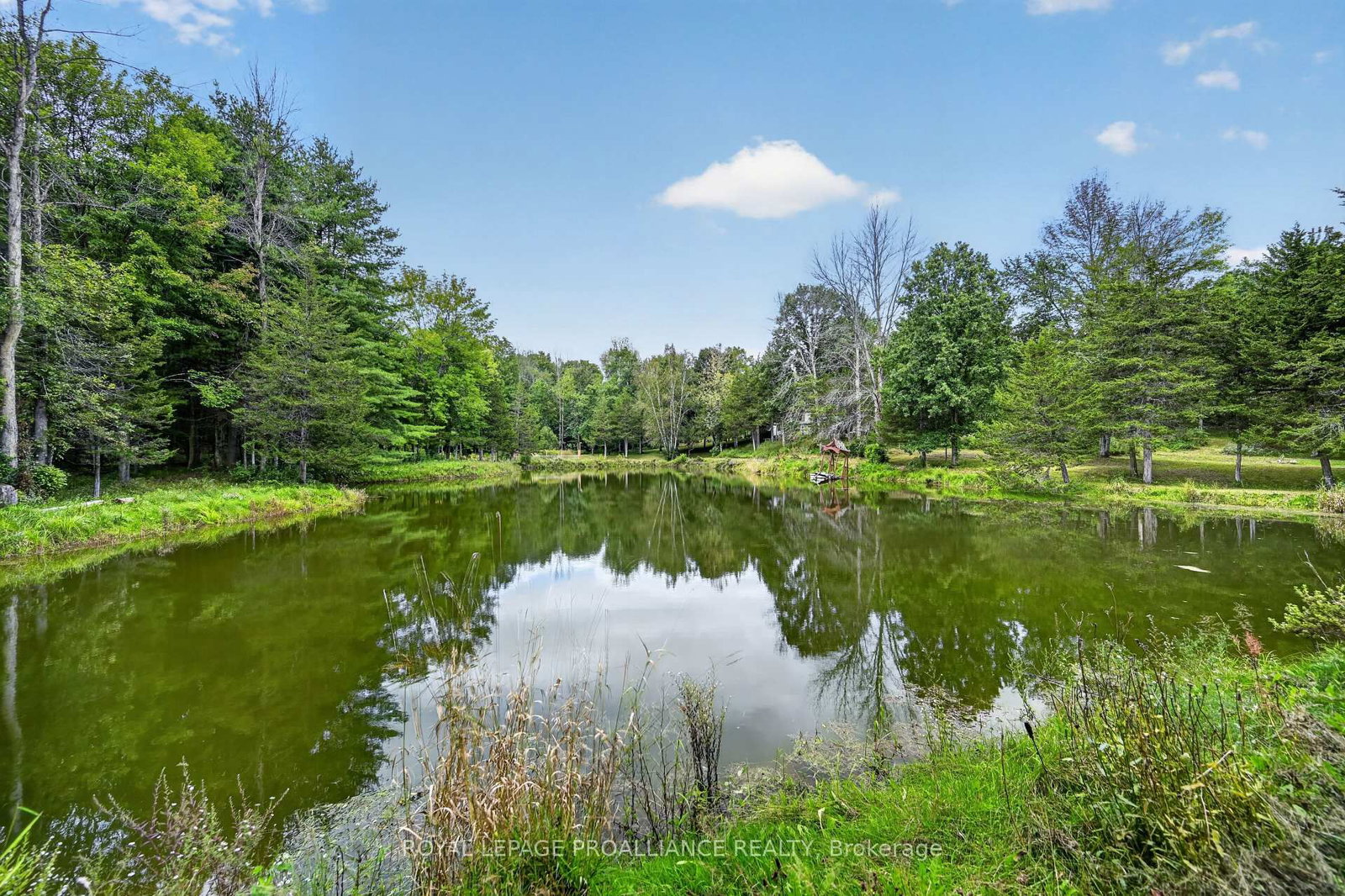 100 Coons Road • Rideau Lakes, ON photo 44