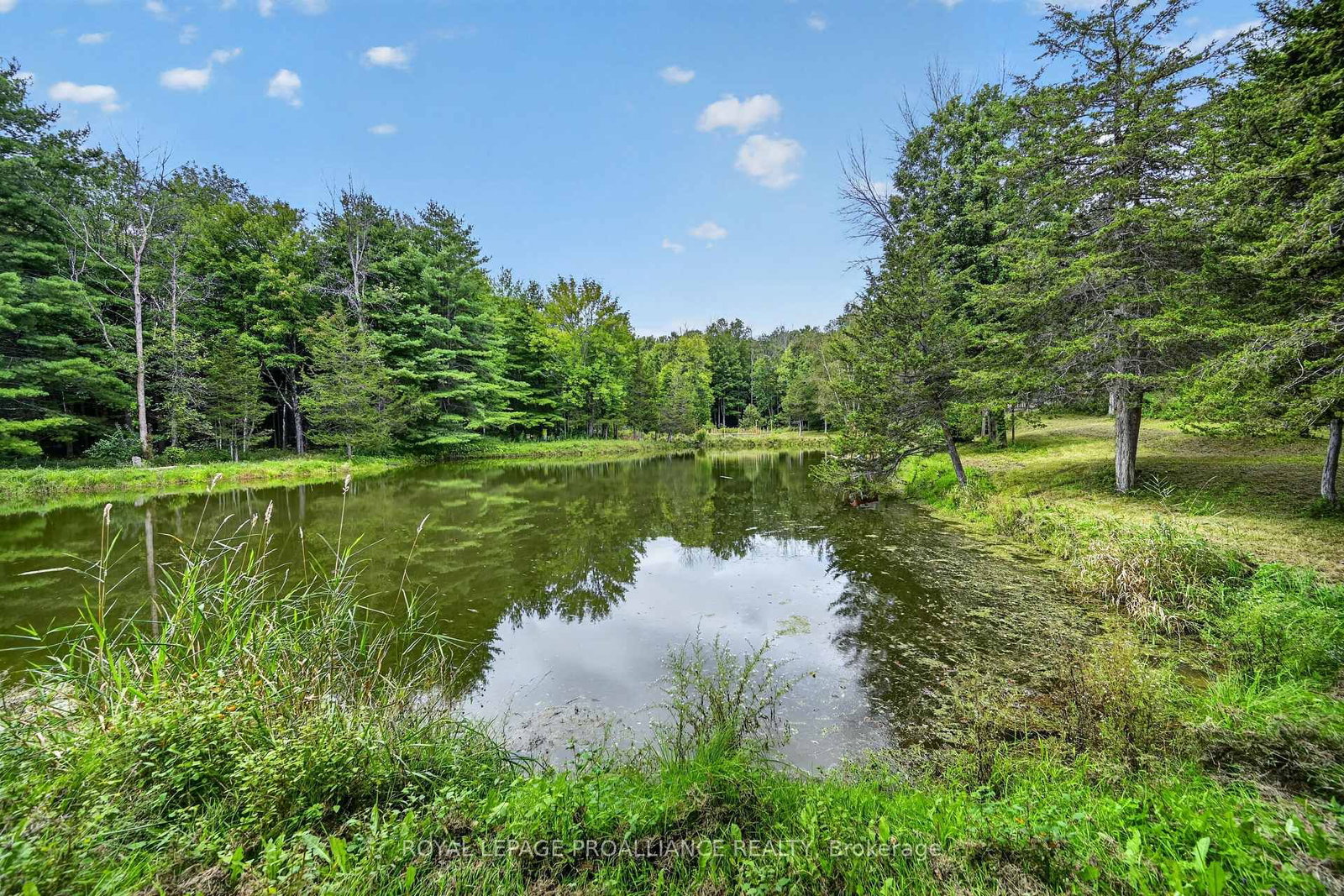 100 Coons Road • Rideau Lakes, ON photo 45