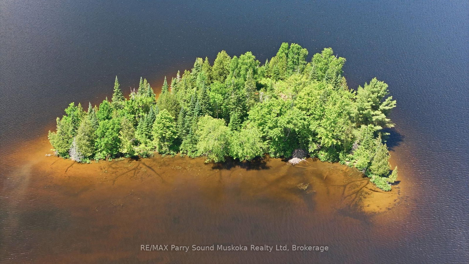 0 Island • McKellar, ON photo 10