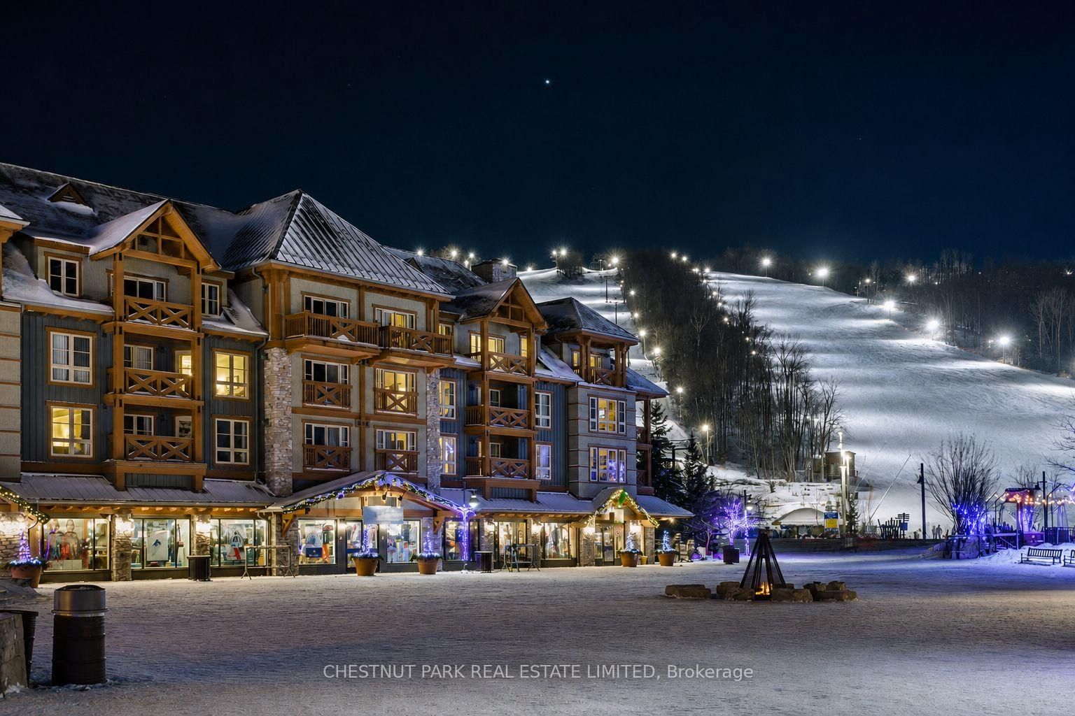 170 Jozo Weider Boulevard • #219 • Blue Mountains, ON photo 13