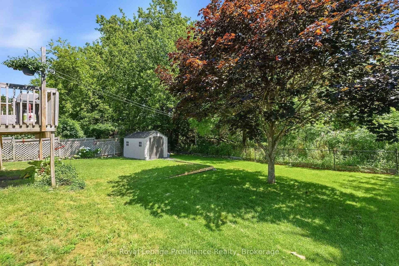 51 Richardson Street • Brighton, ON photo 37