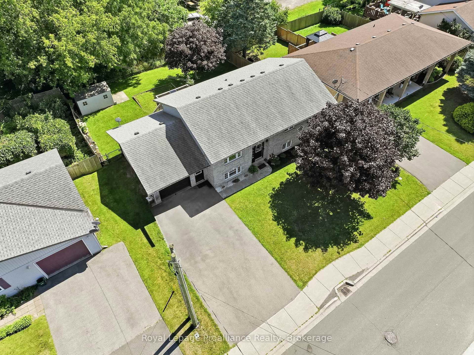 51 Richardson Street • Brighton, ON photo 4