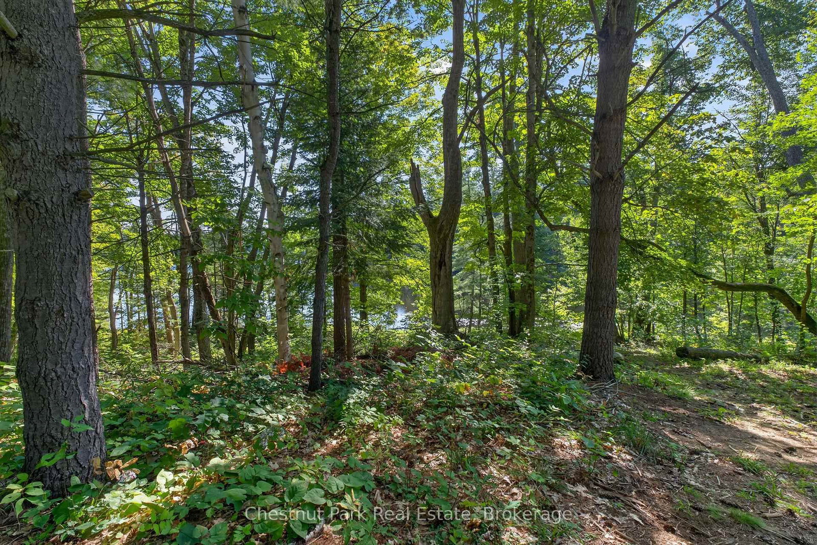 1627 Houseys Rapids Road • Gravenhurst, ON photo 17