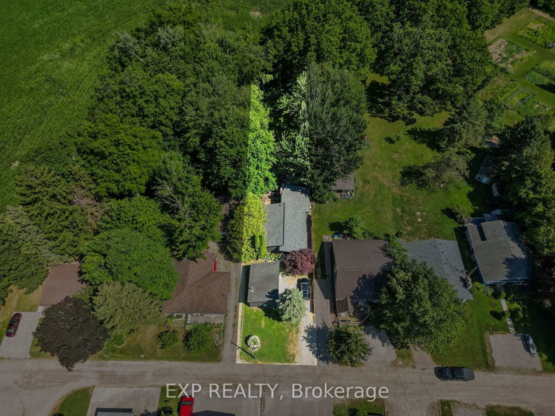 250 Orchard Avenue