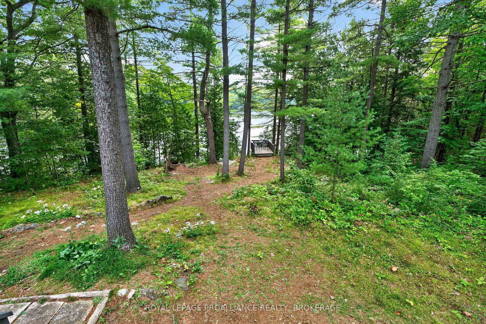 1187 Louden Lane • Mountain Grove, ON photo 12