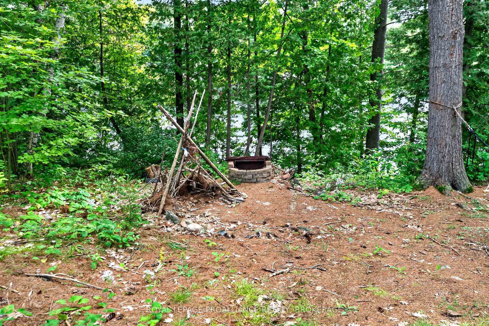 1187 Louden Lane • Mountain Grove, ON photo 42