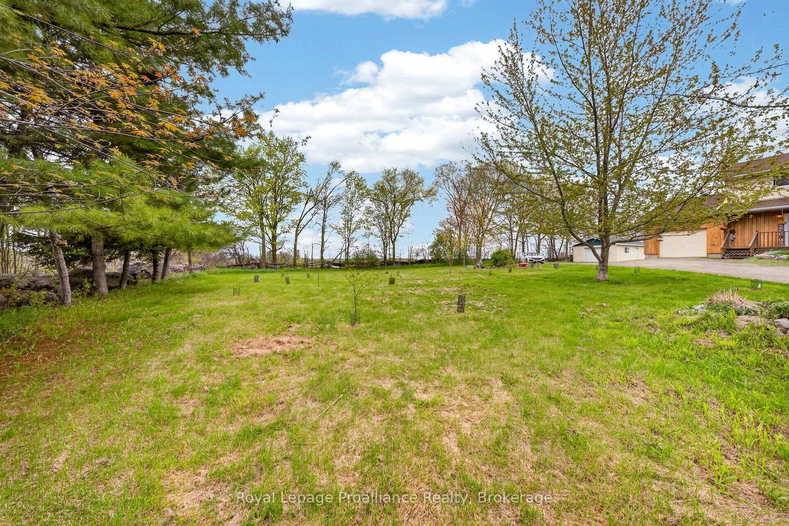235 East Hungerford Road • Tweed, ON photo 4