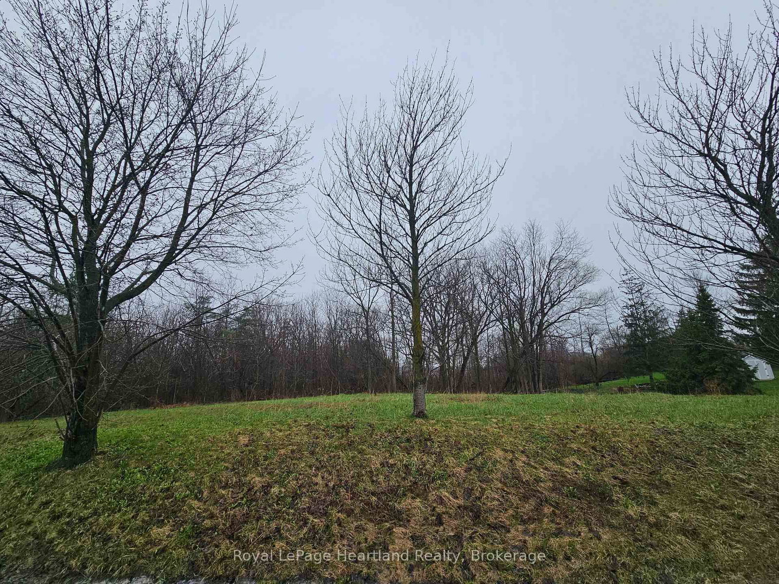 PT LT 21 PL 295 Lucknow Line • Ashfield-Colborne-Wawanosh, ON photo 4
