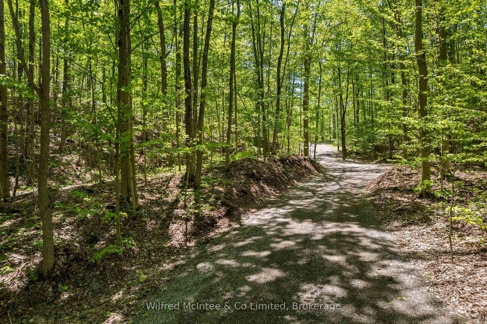 622829 Moto Park Road • Chatsworth, ON photo 45
