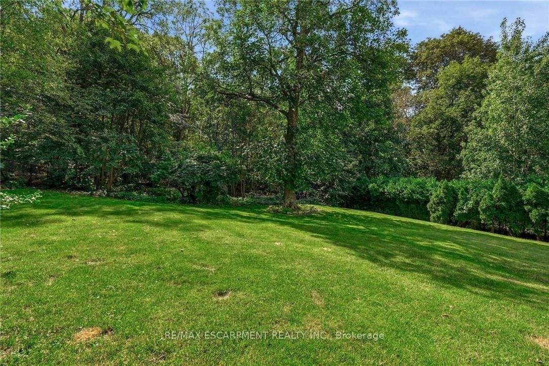 79 Amelia Street • Hamilton, ON photo 49