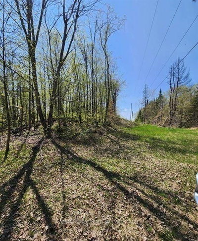 0 Burke Settlement Road • Sharbot Lake, ON photo 4