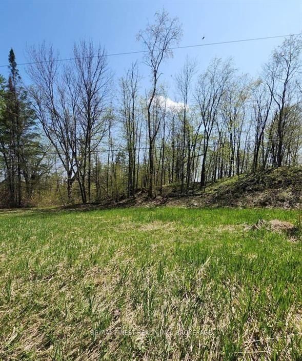 0 Burke Settlement Road • Sharbot Lake, ON photo 5