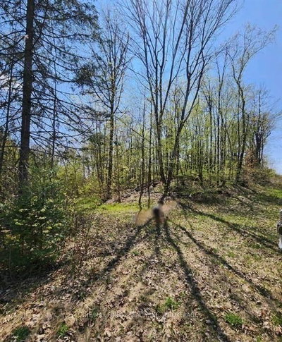 0 Burke Settlement Road • Sharbot Lake, ON photo 6