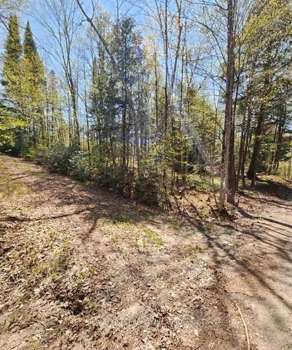0 Burke Settlement Road • Sharbot Lake, ON photo 8