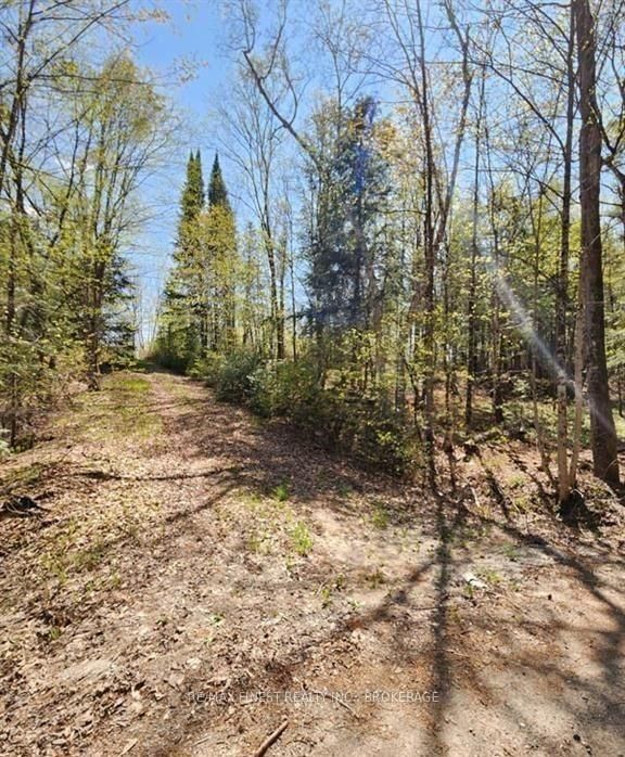 0 Burke Settlement Road • Sharbot Lake, ON photo 9