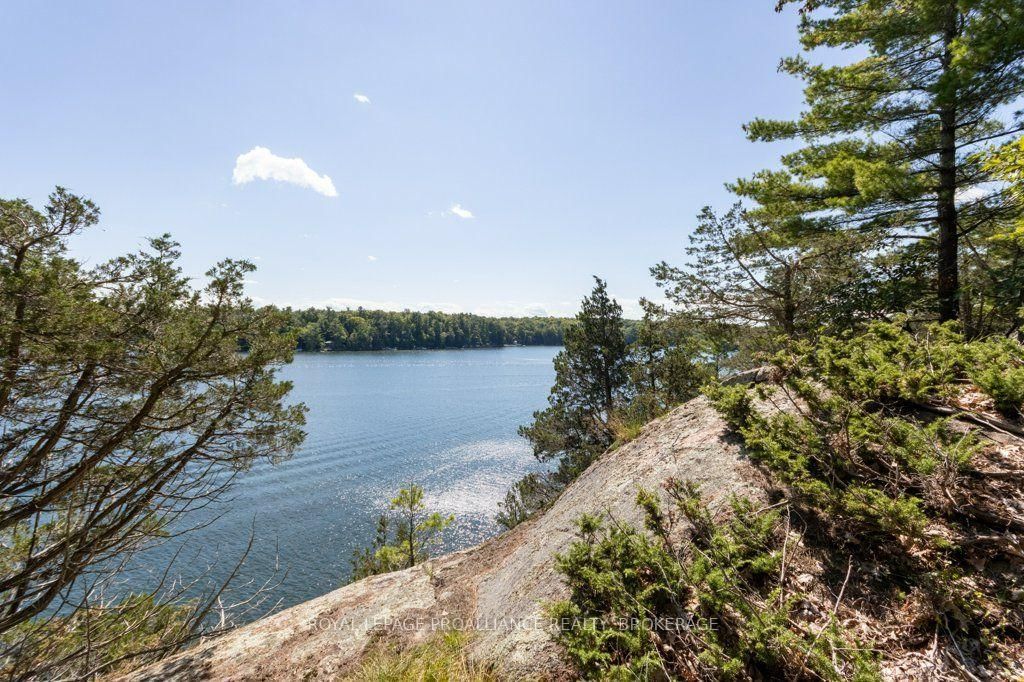 353 Frye Lane • Perth Road, ON photo 39