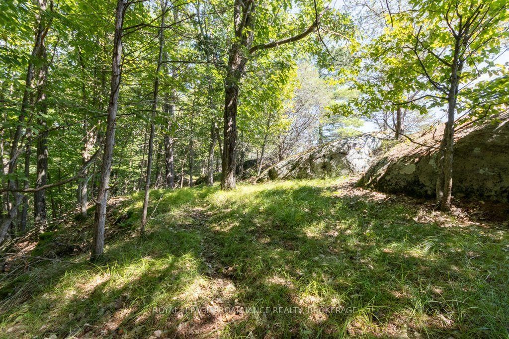 353 Frye Lane • Perth Road, ON photo 40