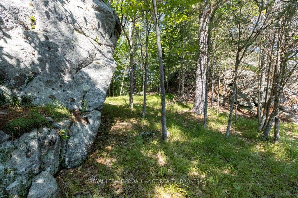 353 Frye Lane • Perth Road, ON photo 41