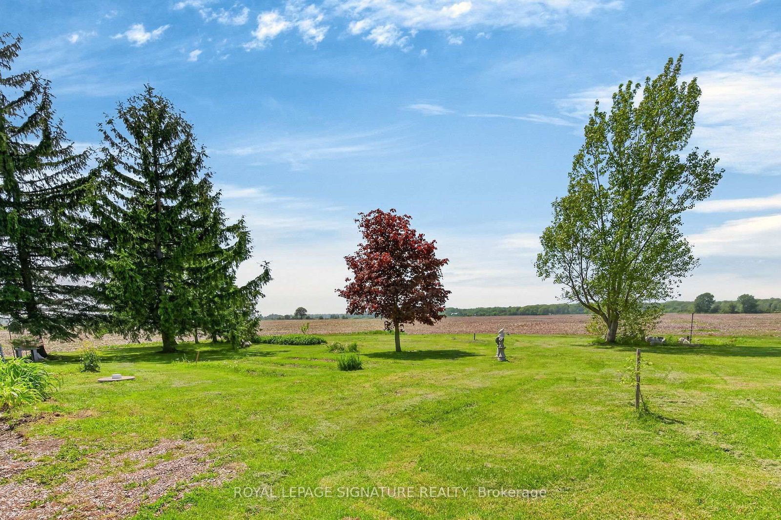 393 Marshagan Road • Haldimand, ON photo 44