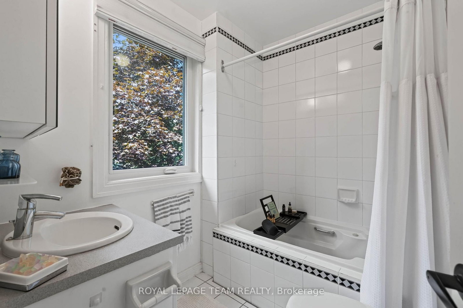 12 Lenore Place • Ottawa, ON photo 21