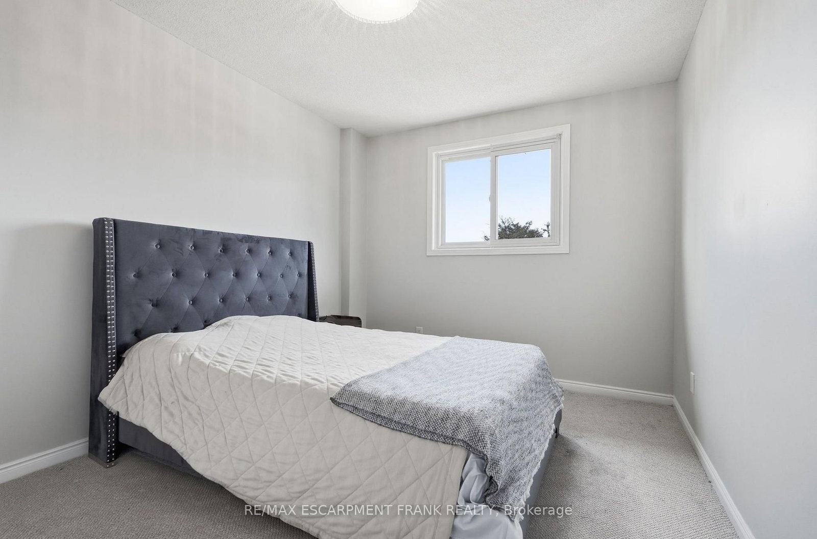 79 LYNNETTE Drive • Hamilton, ON photo 31