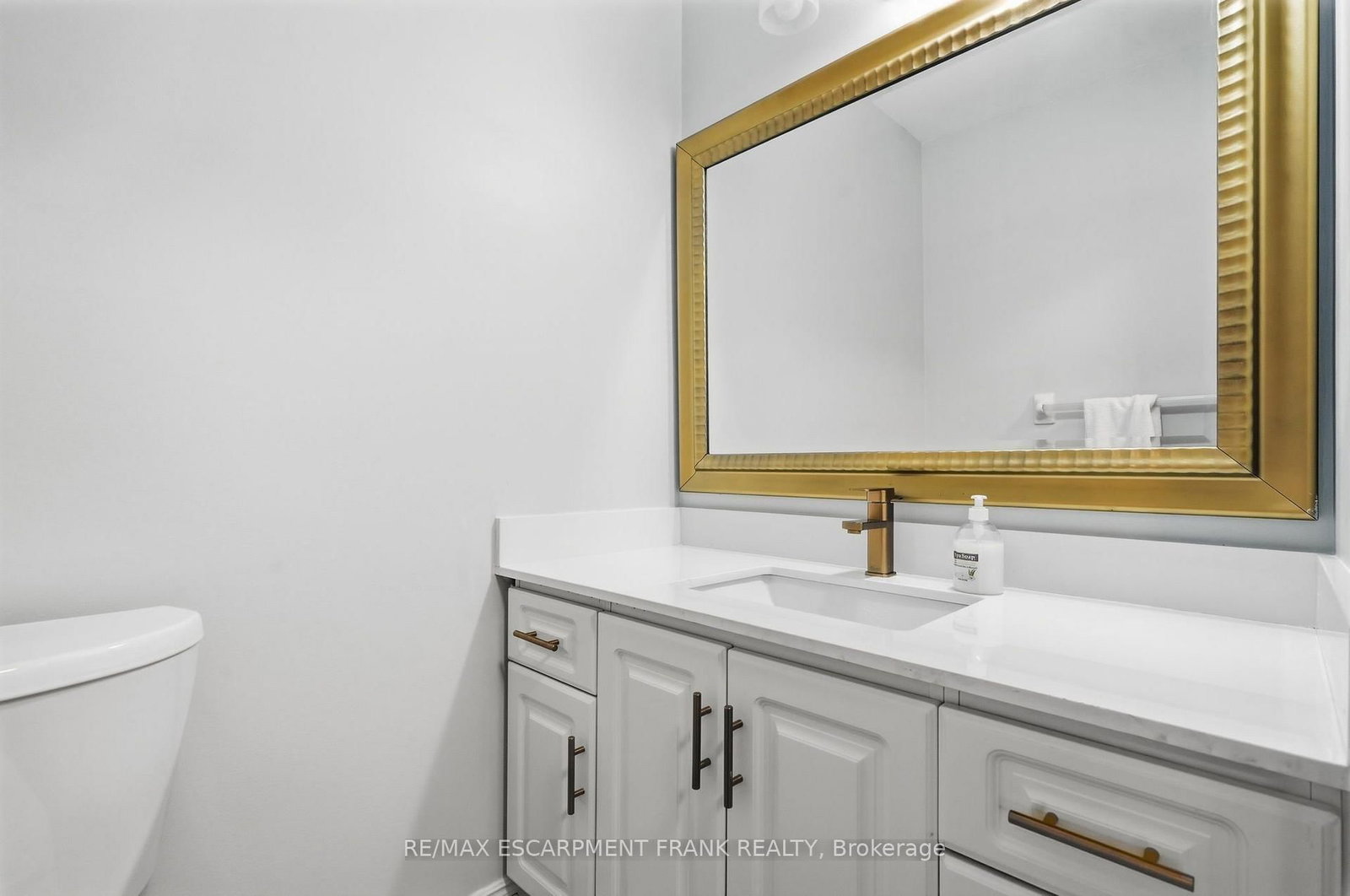 79 LYNNETTE Drive • Hamilton, ON photo 43