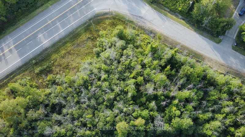 41 - 41 CONCESSION 4 Road