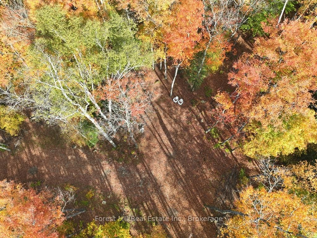4488 Kawagama Lake Road • Algonquin Highlands, ON photo 1