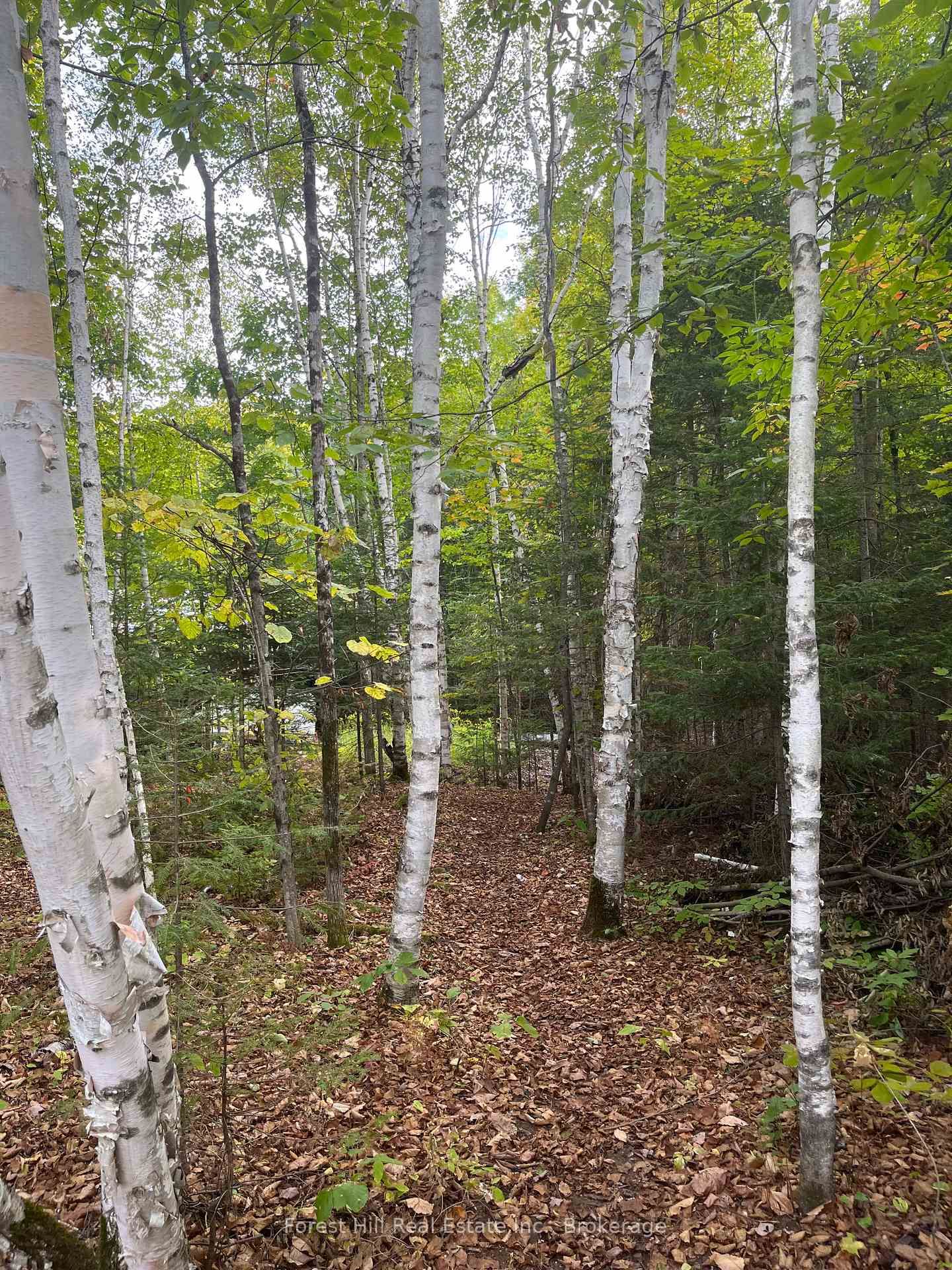 4488 Kawagama Lake Road • Algonquin Highlands, ON photo 12