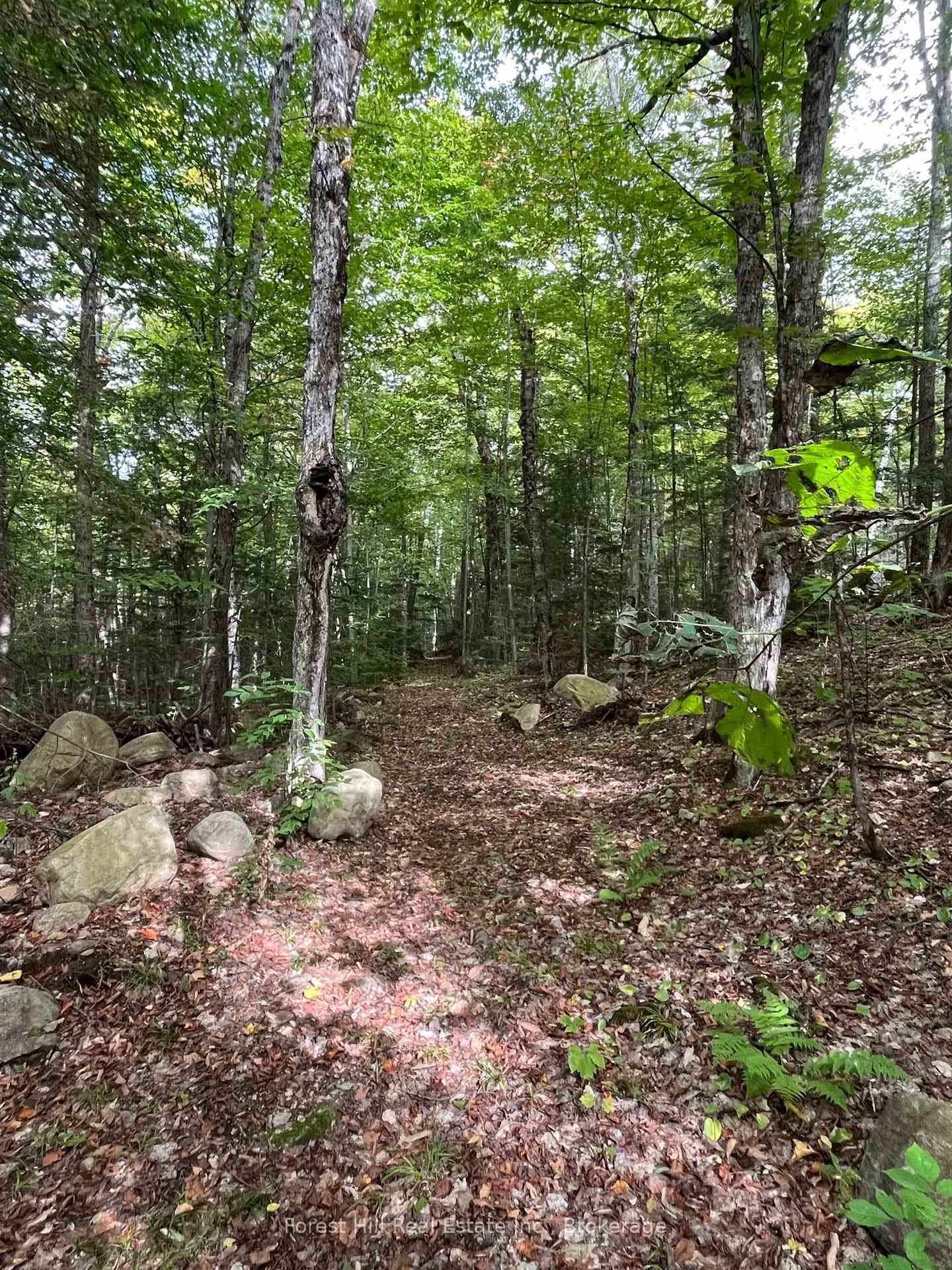 4488 Kawagama Lake Road • Algonquin Highlands, ON photo 13