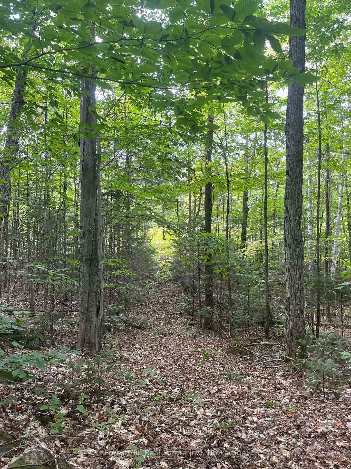4488 Kawagama Lake Road • Algonquin Highlands, ON photo 15