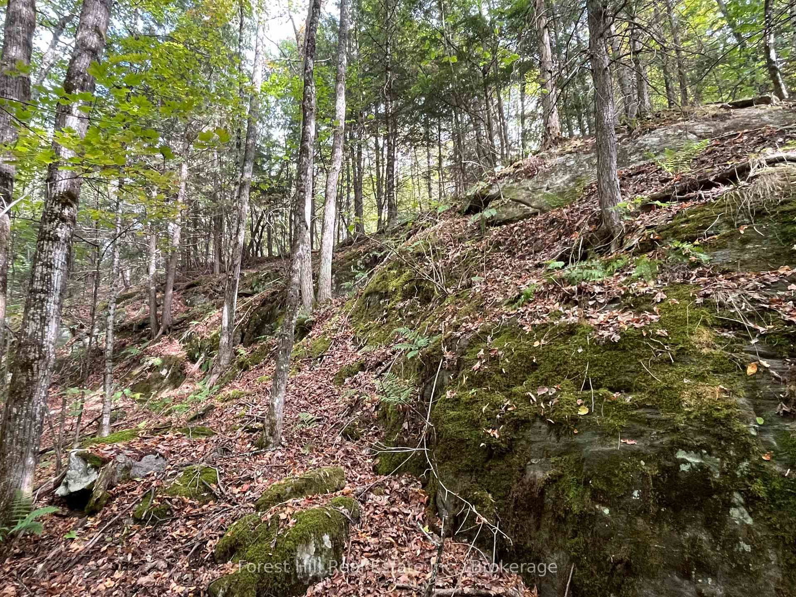 4488 Kawagama Lake Road • Algonquin Highlands, ON photo 16