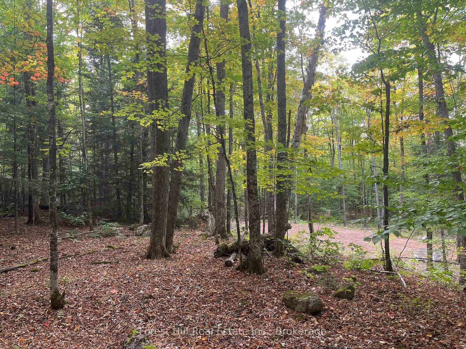 4488 Kawagama Lake Road • Algonquin Highlands, ON photo 17