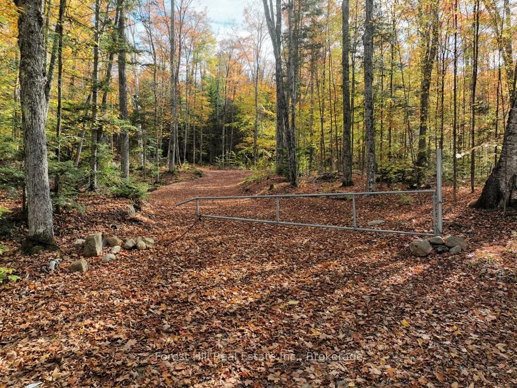 4488 Kawagama Lake Road • Algonquin Highlands, ON photo 18