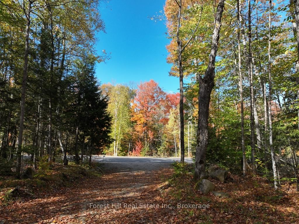 4488 Kawagama Lake Road • Algonquin Highlands, ON photo 19