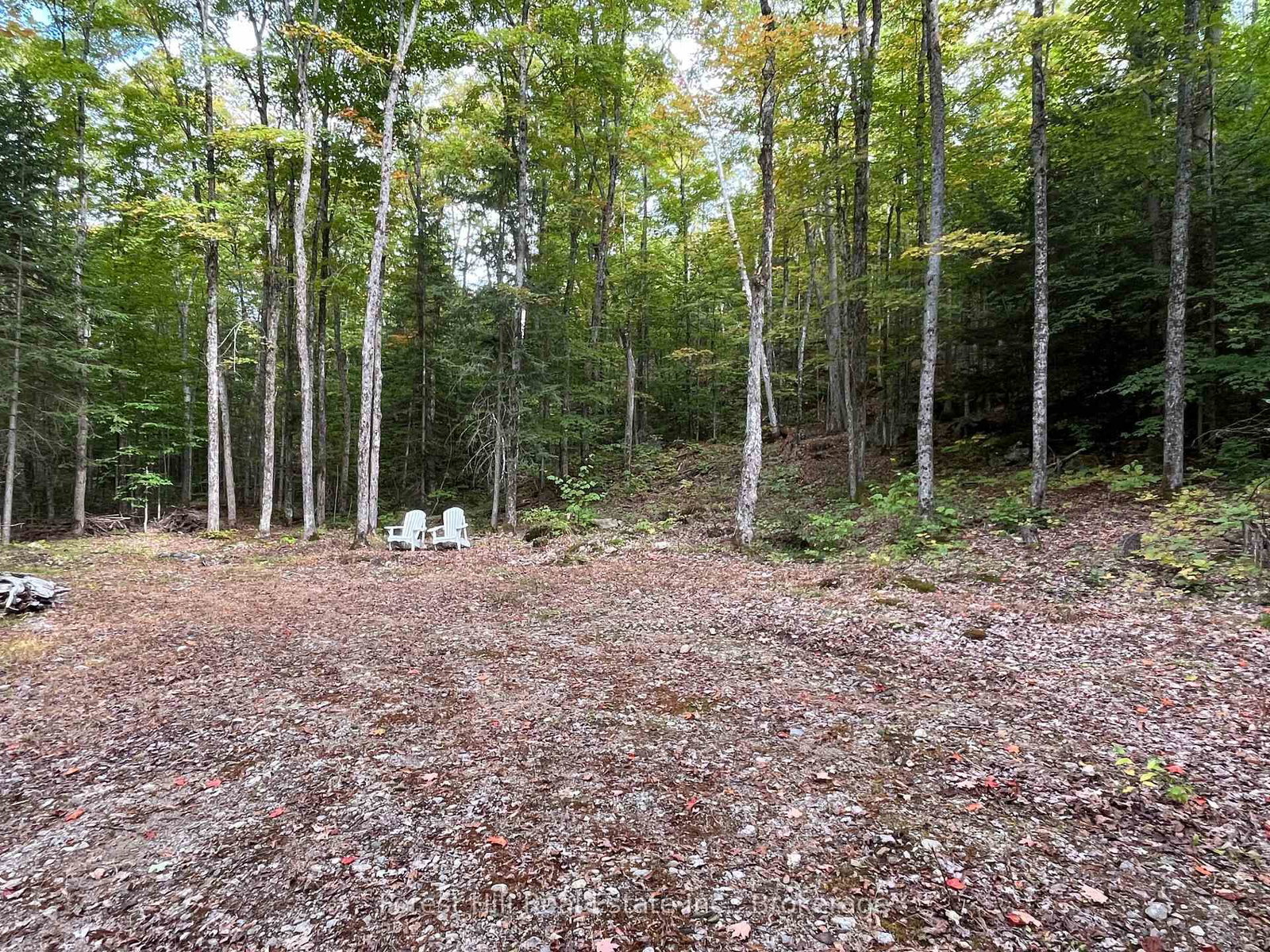 4488 Kawagama Lake Road • Algonquin Highlands, ON photo 2