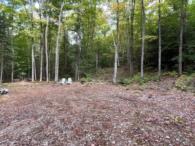 4488 Kawagama Lake Road • Algonquin Highlands, ON photo 2
