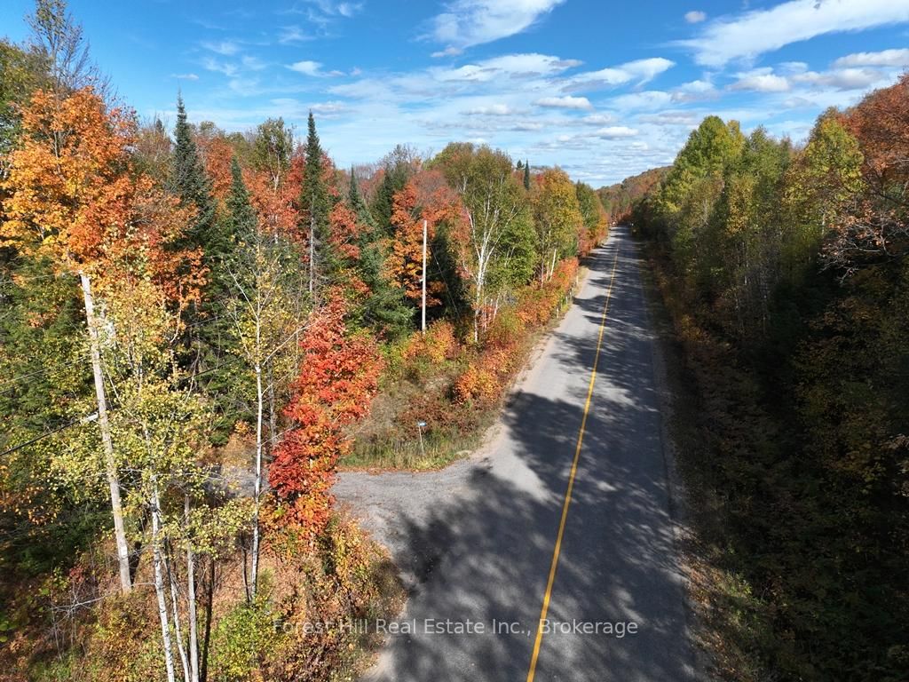 4488 Kawagama Lake Road • Algonquin Highlands, ON photo 21