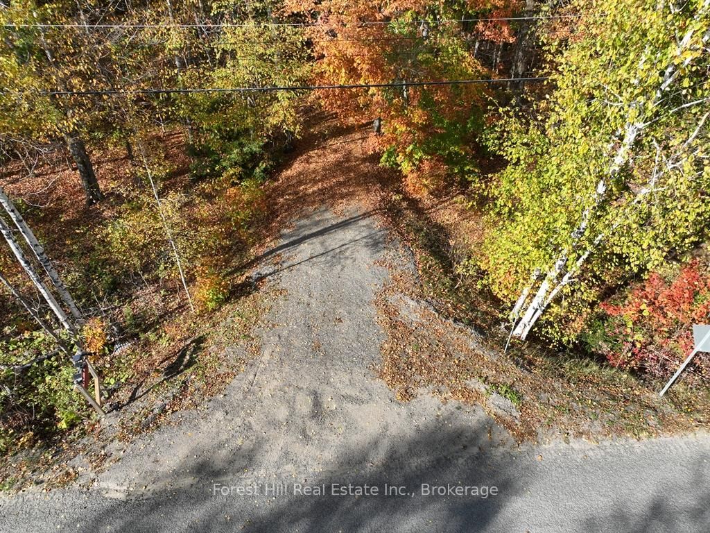 4488 Kawagama Lake Road • Algonquin Highlands, ON photo 22