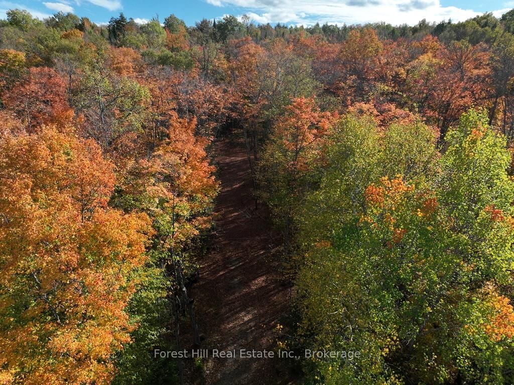 4488 Kawagama Lake Road • Algonquin Highlands, ON photo 24