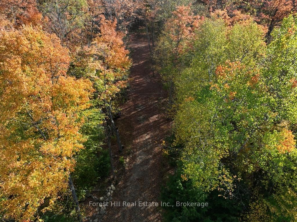 4488 Kawagama Lake Road • Algonquin Highlands, ON photo 26