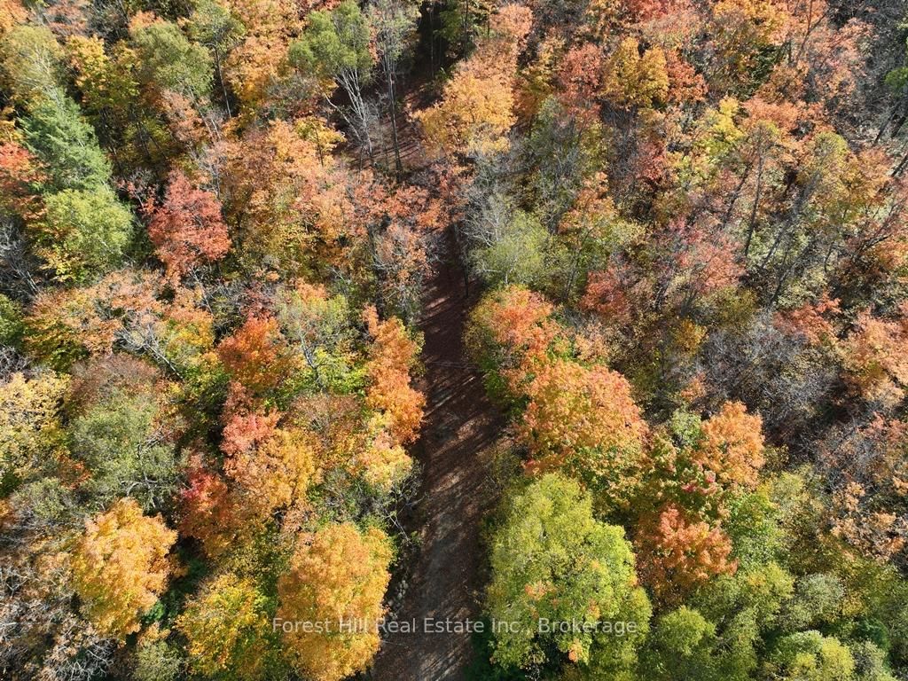 4488 Kawagama Lake Road • Algonquin Highlands, ON photo 27