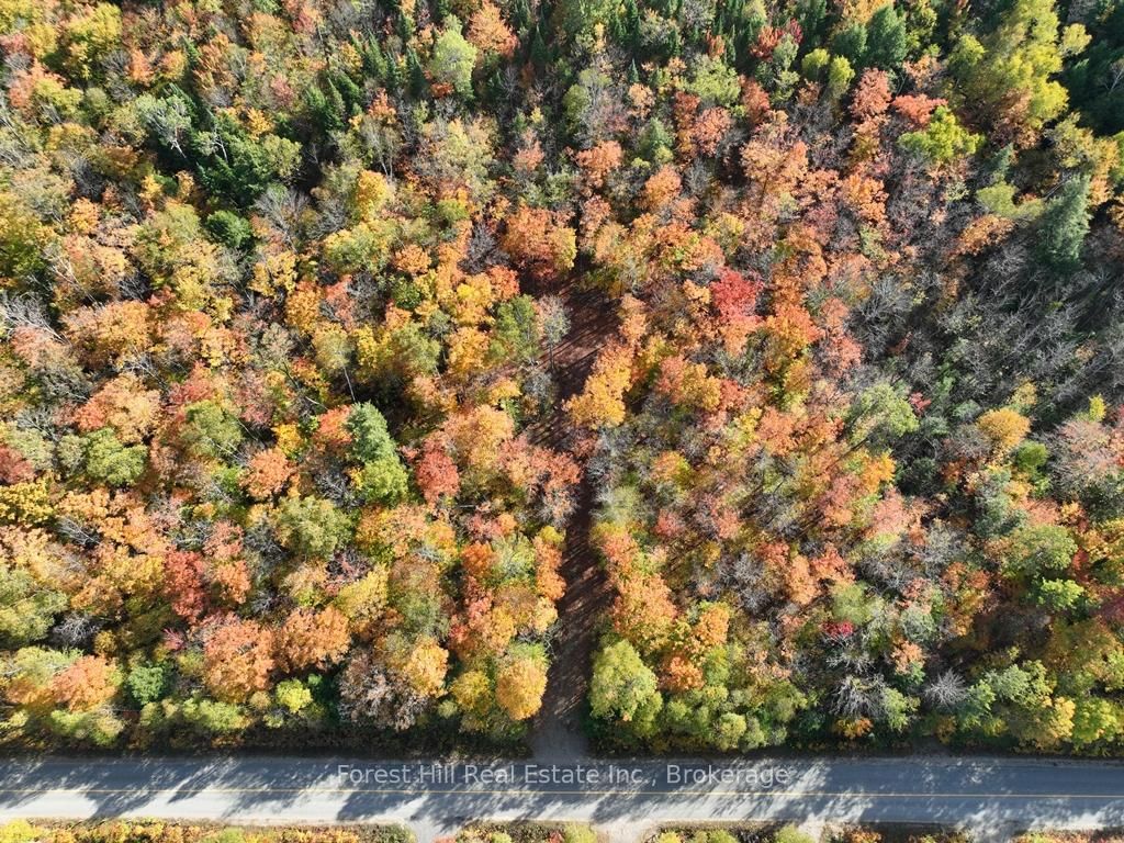 4488 Kawagama Lake Road • Algonquin Highlands, ON photo 28