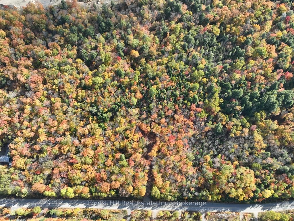 4488 Kawagama Lake Road • Algonquin Highlands, ON photo 29