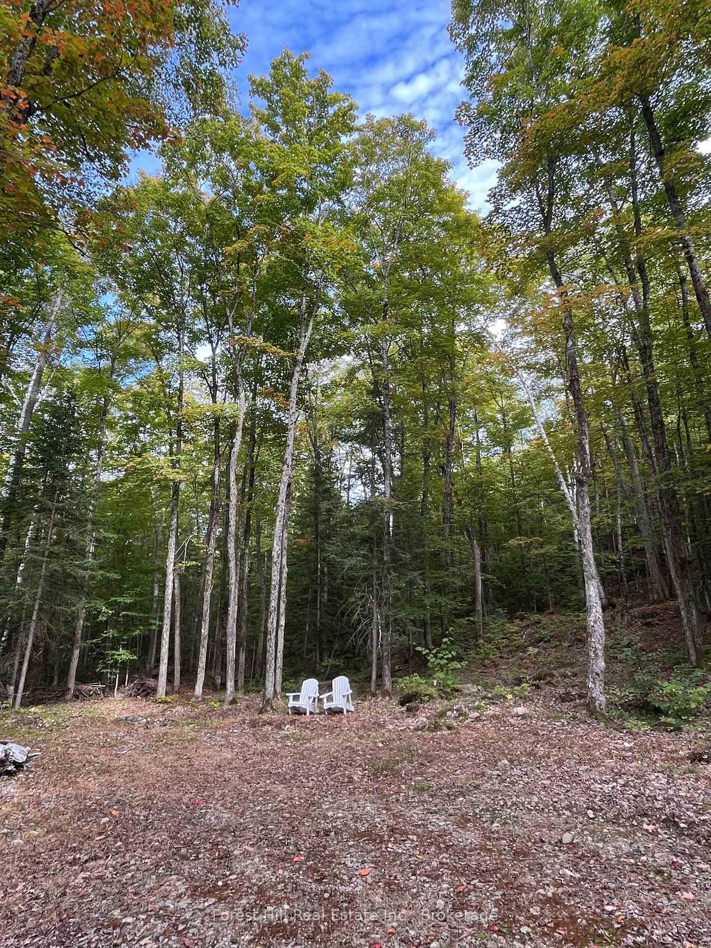 4488 Kawagama Lake Road • Algonquin Highlands, ON photo 3