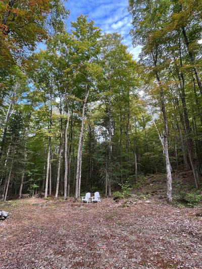 4488 Kawagama Lake Road • Algonquin Highlands, ON photo 3