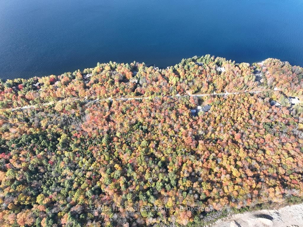 4488 Kawagama Lake Road • Algonquin Highlands, ON photo 31